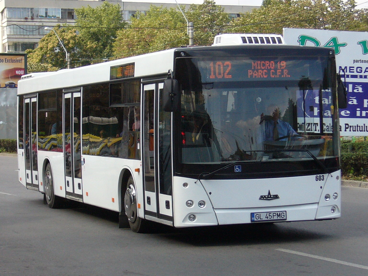 Maz Bus